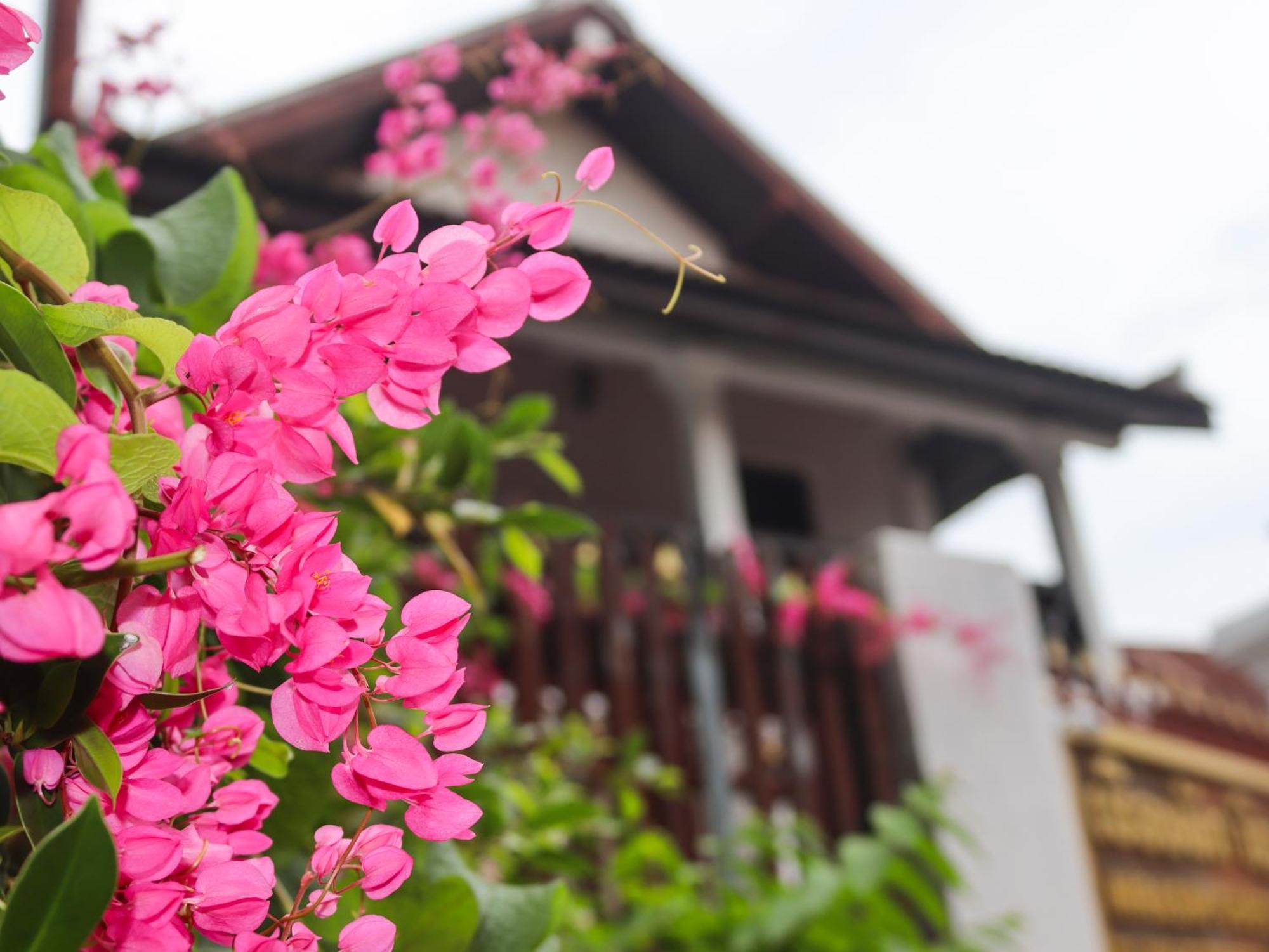 Nirasim Villa Luang Prabang Luaran gambar